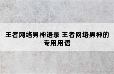 王者网络男神语录 王者网络男神的专用用语